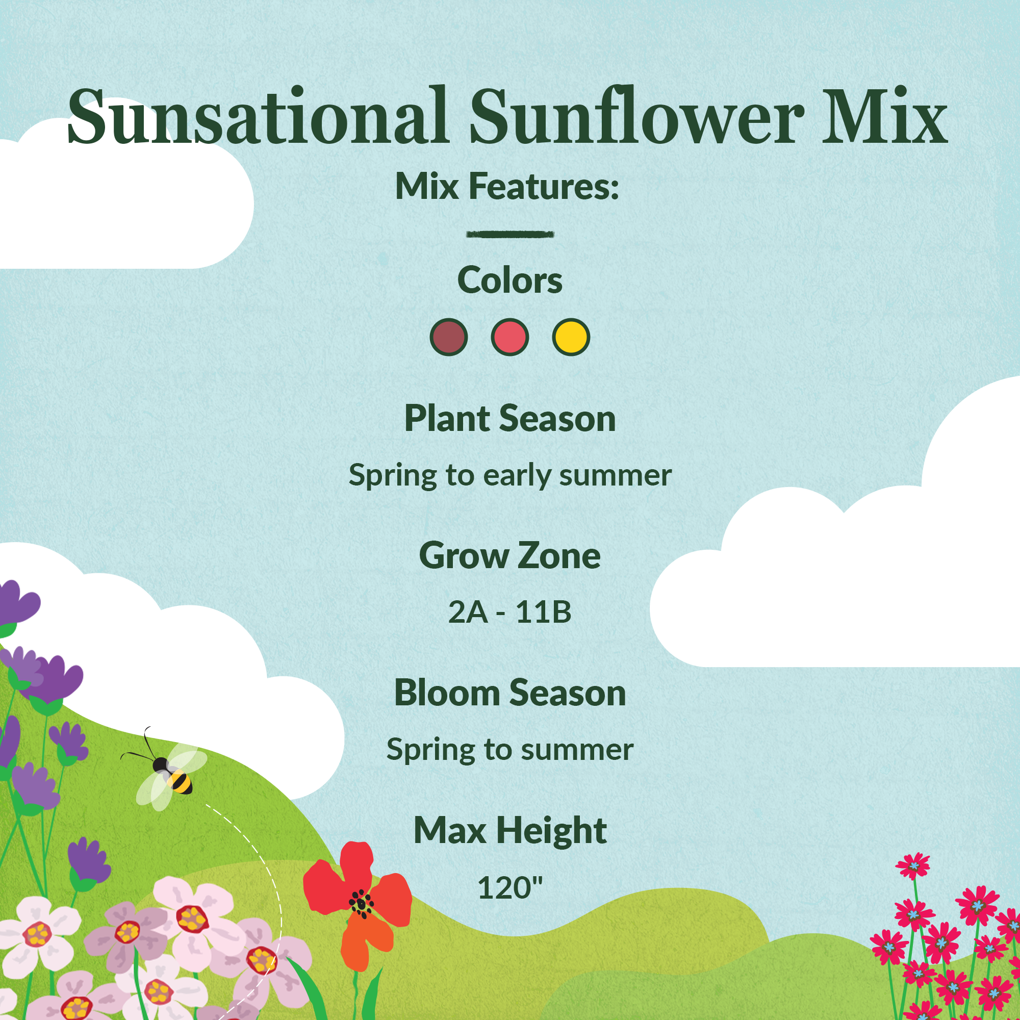 Sunsational Sunflower features